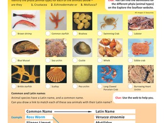 Explore the Seafloor Biology Teacher's Pack