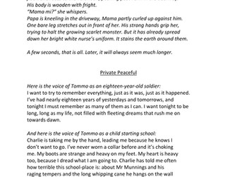 Narrative choices (creative writing)