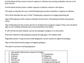 Immune System: Key Words Worksheet