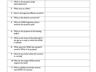 Gene Technology: Electrophoresis Worksheet