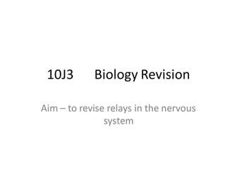 Reflex arc revision B1