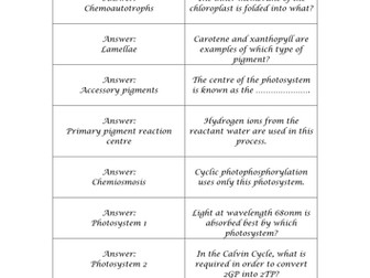 F214 Photosynthesis Revision Loop Game