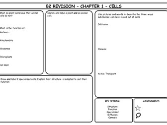B2 Revision Sheets