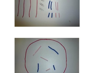 Chromosome Assortment Tactile Activity