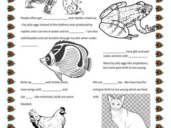 SEN classification worksheet.