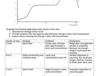 Respiration in athletics worksheet