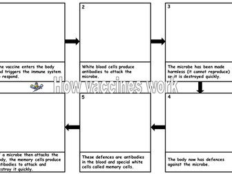 Vaccination flow chart