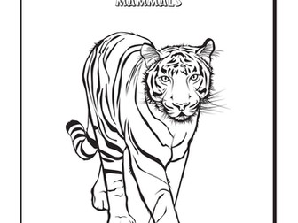 Cool Colouring Pages: Tiger