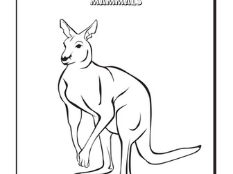 Cool Colouring Pages: Kangaroo