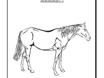 Cool Coloring Pages: Horse
