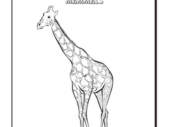 Cool Coloring Pages: Giraffe