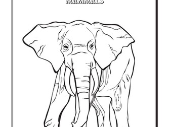 Cool Coloring Pages: Elephant