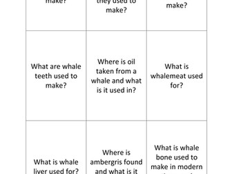 Whaling and Sustainability Board Game
