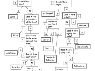 Identification Key of a Variety of Organisms
