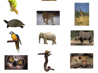 Wild animals