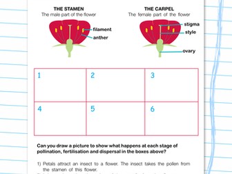 Pollination and fertilisation