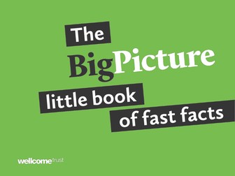 Big Picture Little Book of Fast Facts -PowerPoint