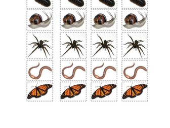 7D classification unit for SEN