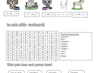 Pets Presentation and Worksheet - French