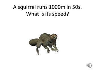 Animal speed calculations