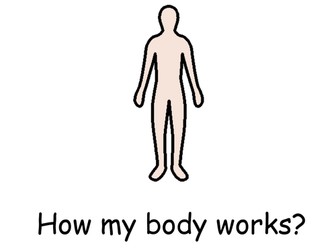 How my body works