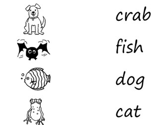 CVC CCVC word reading & writing sheets