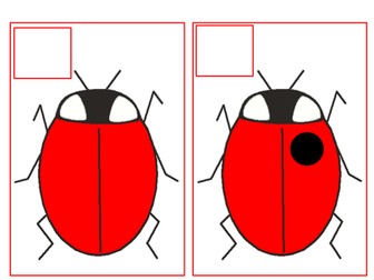 Counting dots - ladybirds
