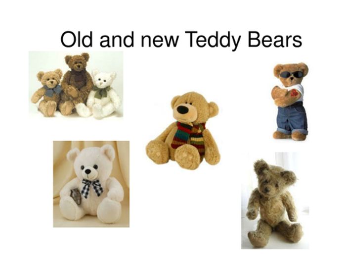 new teddy bear