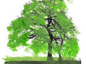 Trees - Tree Colours