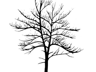 Trees - Tree Outlines