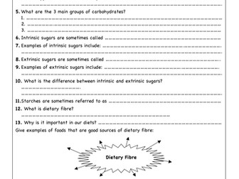 Carbohydrates Worksheet