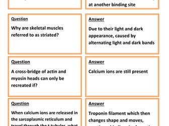 A level Revision flip cards for muscles