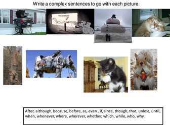 Complex sentence work