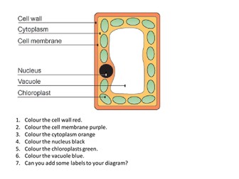 Plant Cell (SEN) Labelling