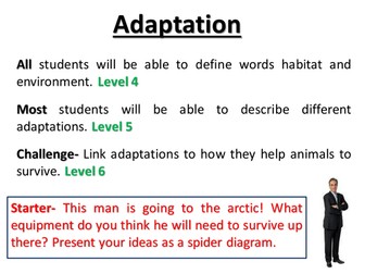 Adaptation