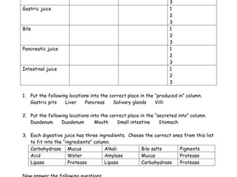 enzymes worksheet