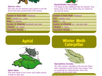 Top Trumps