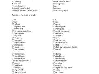 Descriptive/opinion vocabulary sheet GCSE