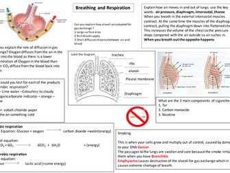 IGCSE Respiration learning mat