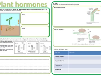 IGCSE plant hormones revision