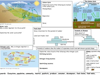 IGCSE Nutrient cycles learning mat