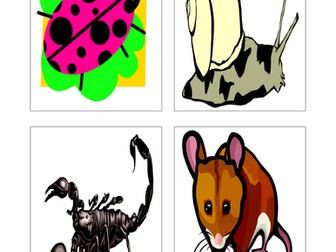 Trial & Improvement Resources