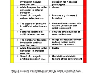 Loop / Pairs Game Natural and Artificial Selection