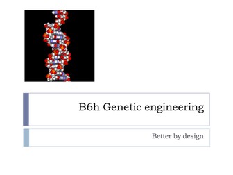 B6h Genetic engineering