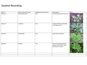 Growth and Change - A Spring Term Project