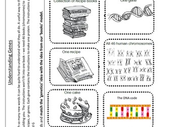 BTEC: Chromosomes, Genes, DNA