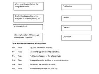 Fertilisation recap worksheet