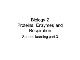 Revision for Biology 2  (enzymes)