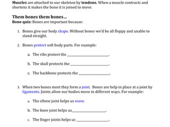 How do muscles and bones help us move?