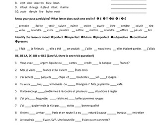 French A Level grammar revision